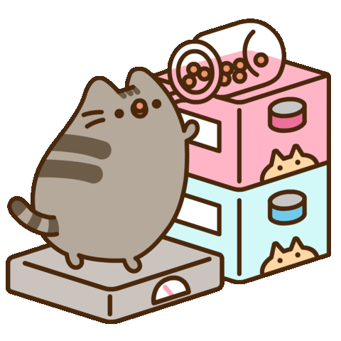 Pusheen 3