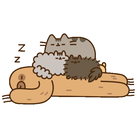 Pusheen sleep